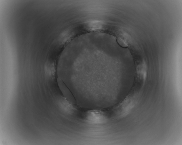 X0000112070372200908041239