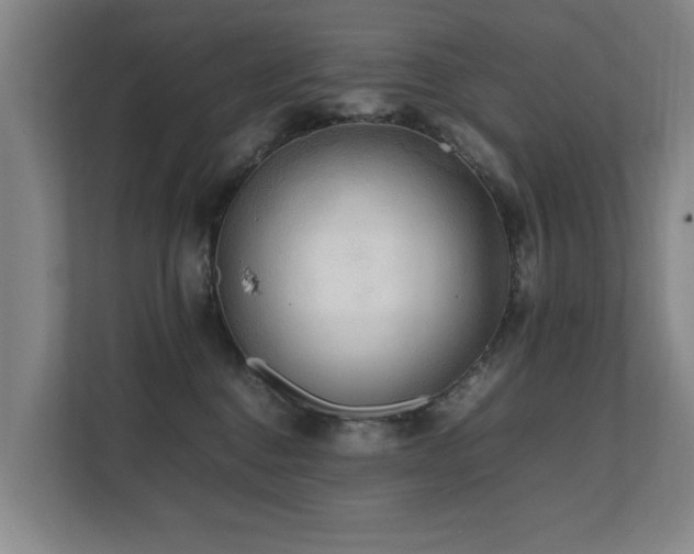 X0000112070376200908041239