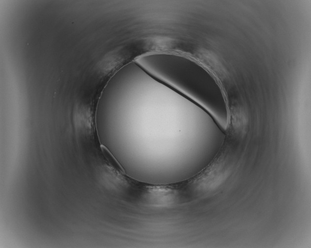 X0000112070380200908041239