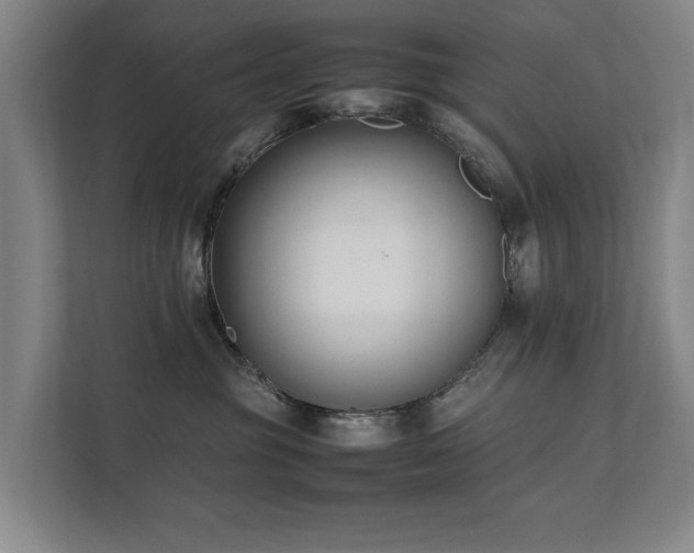 X0000112070381200908041239