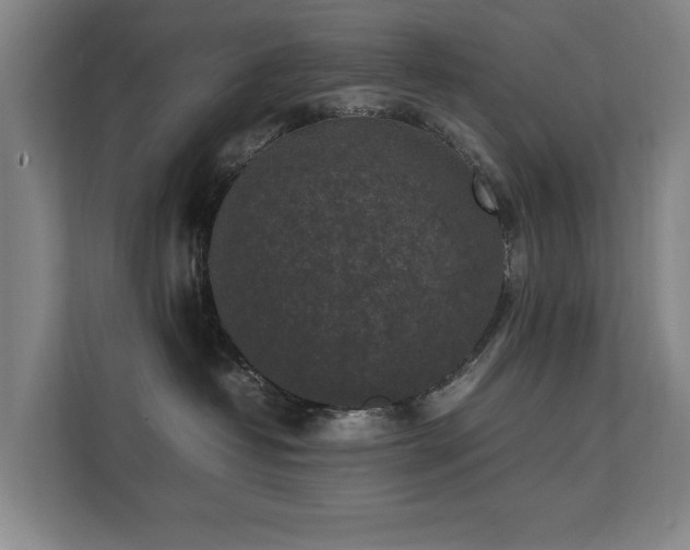 X0000112070382200908041239