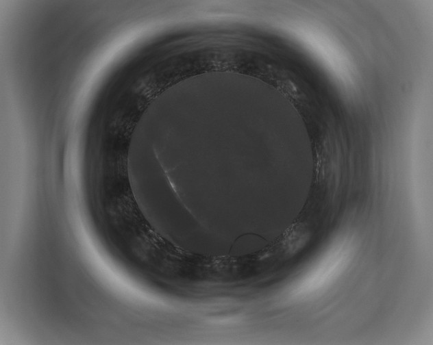 X0000112070383200908041239