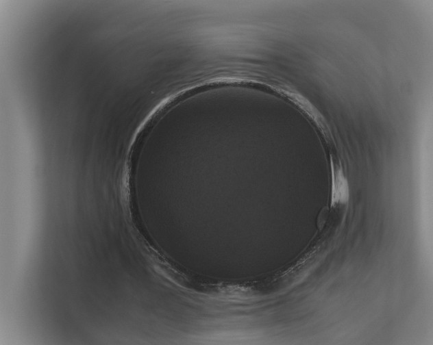 X0000112070387200908041238