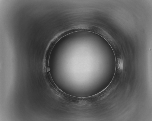 X0000112070388200908041238