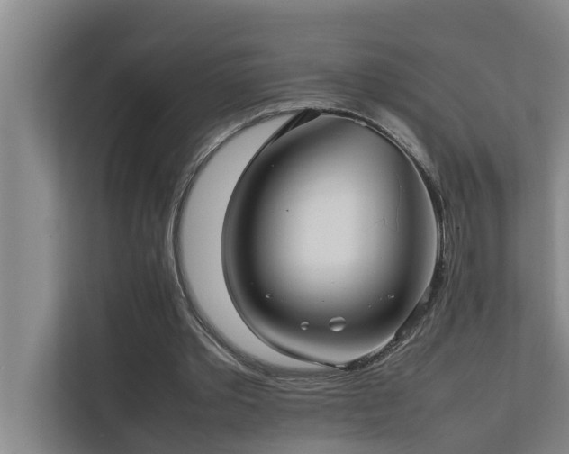 X0000112070389200908041238