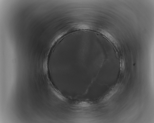 X0000112070390200908041238