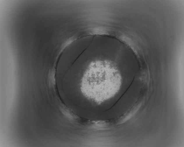 X0000112070395200908041238