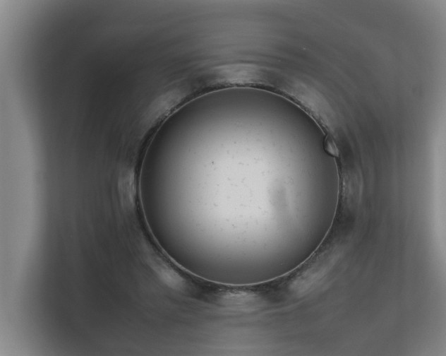 X0000112070397200908041238