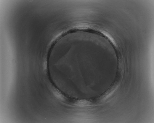 X0000112070399200908041238