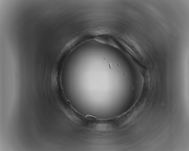 X0000112070400200908041238