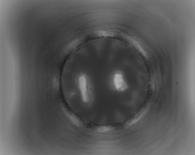 X0000112070402200908041238