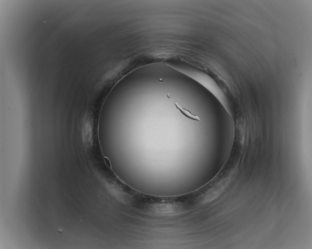 X0000112070404200908041238