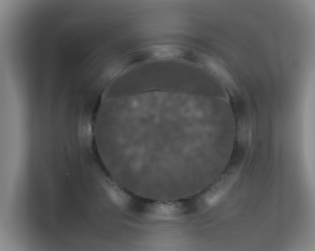 X0000112070405200908041238