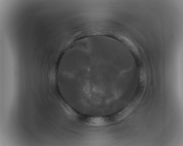 X0000112070409200908041238