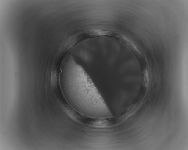 X0000112070410200908041238