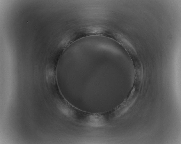 X0000112070415200908041238