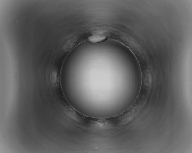 X0000112070420200908041238