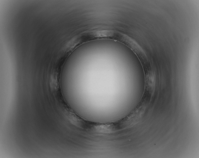 X0000112070422200908041238