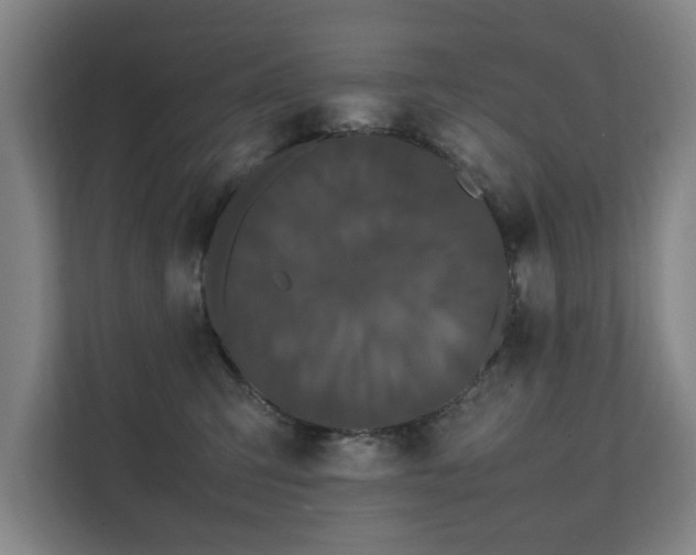 X0000112070423200908041238