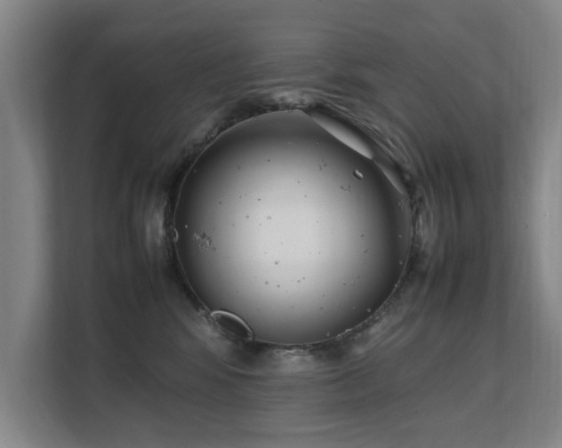 X0000112070424200908041238