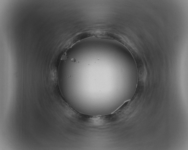 X0000112070425200908041238