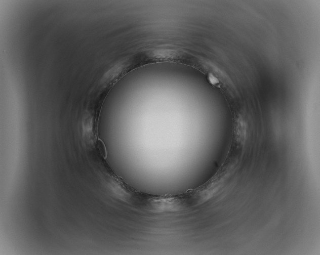 X0000112070428200908041238