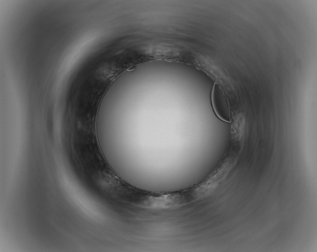 X0000112070430200908041238