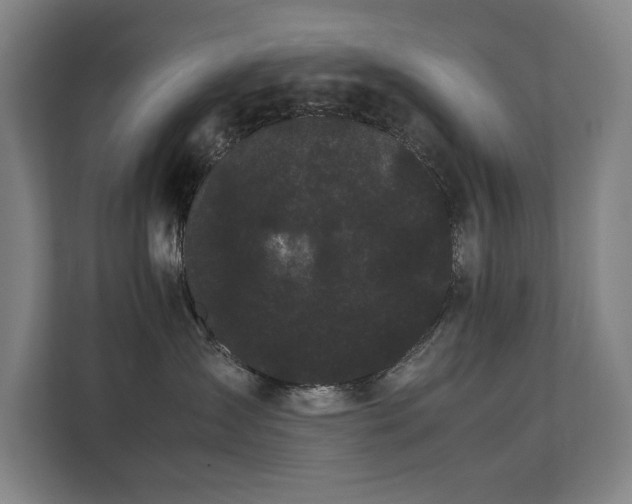 X0000112070431200908041238