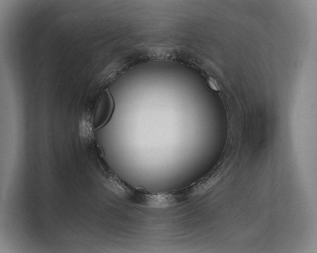 X0000112070432200908041237