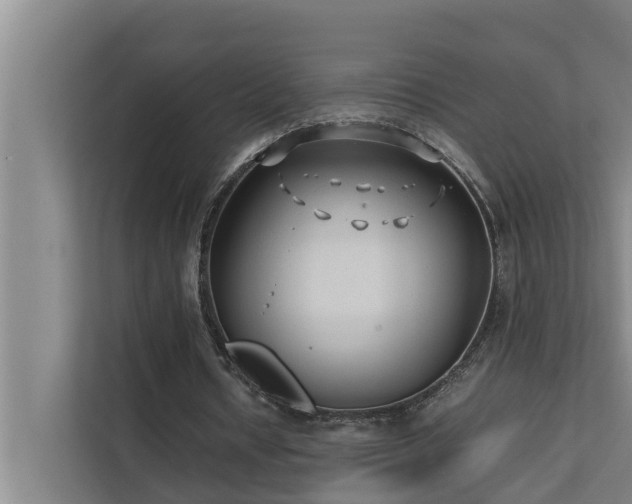 X0000112070434200908041237