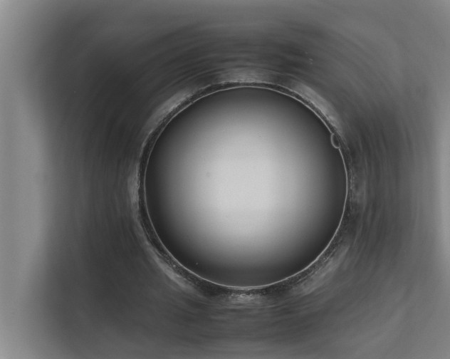 X0000112070437200908041237