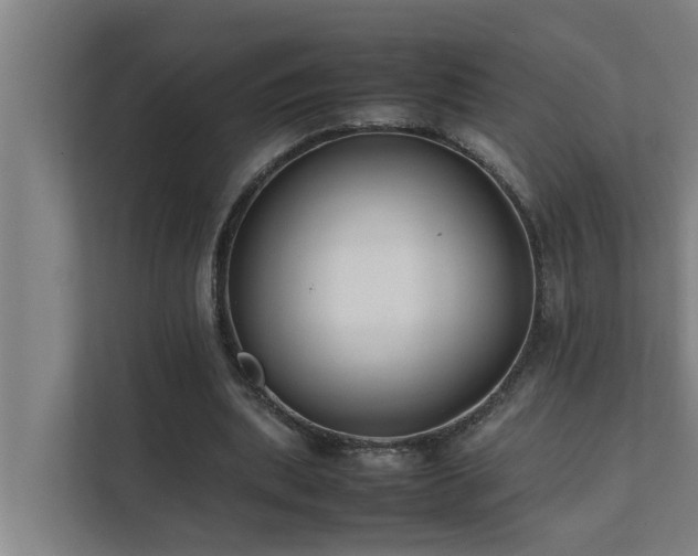 X0000112070439200908041237