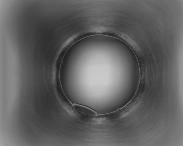 X0000112070440200908041237