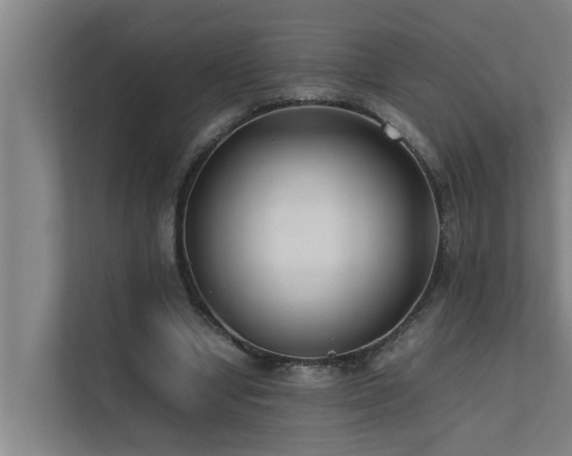 X0000112070442200908041237