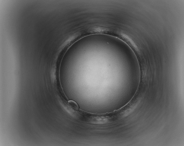 X0000112070443200908041237