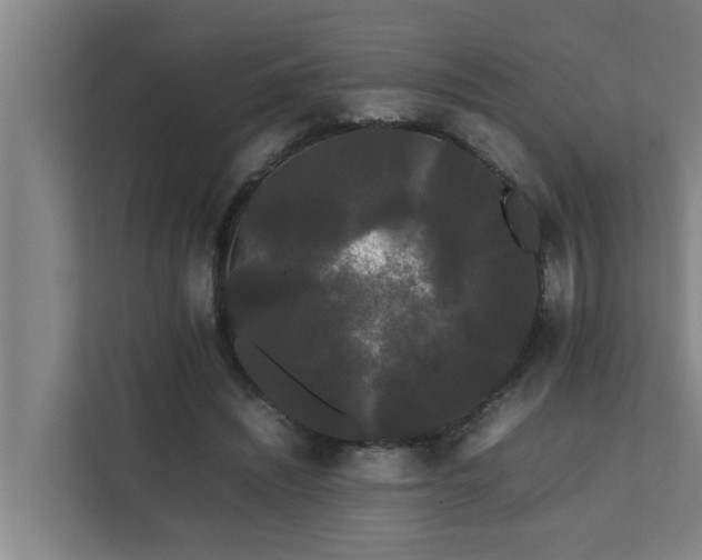 X0000112070444200908041237