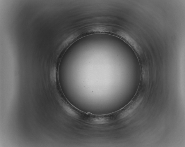 X0000112070445200908041237