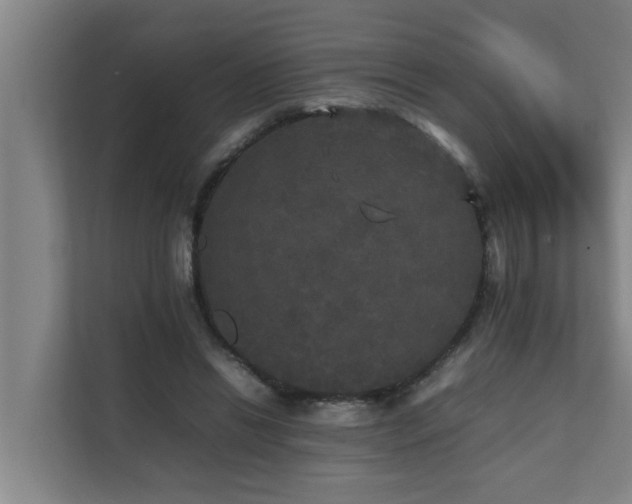 X0000112070446200908041237