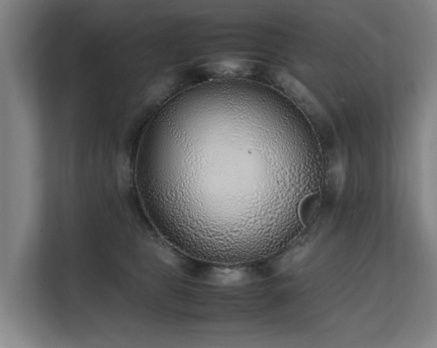 X0000112070469200908041237