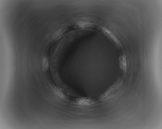 X0000112070471200908041237