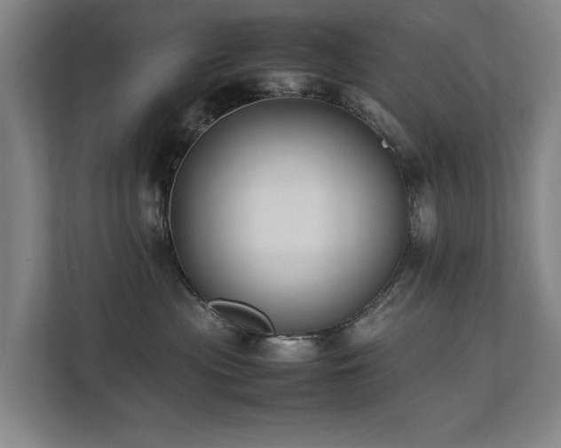 X0000112070477200908041237