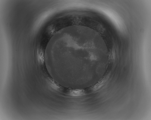 X0000112070479200908041237