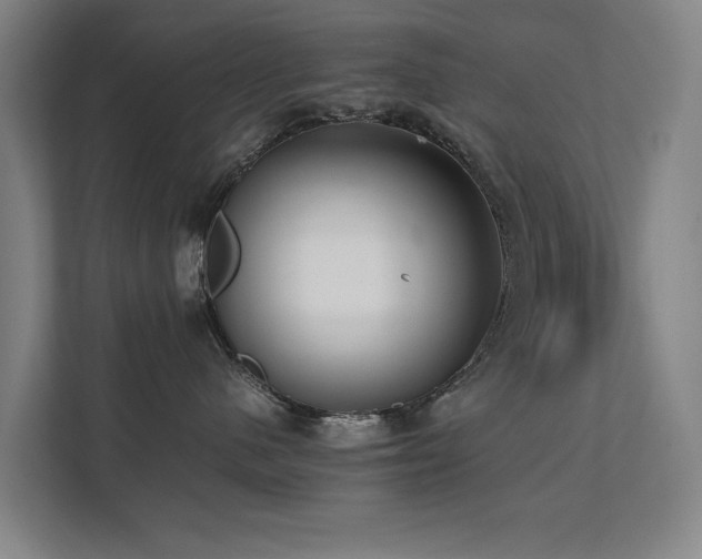 X0000112070480200908041237