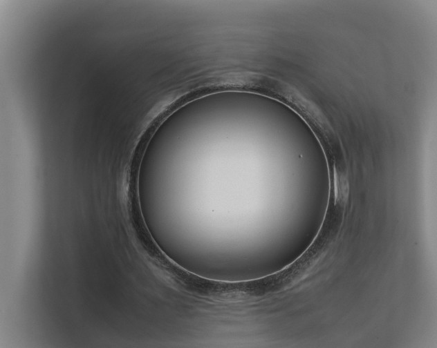 X0000112070483200908041237