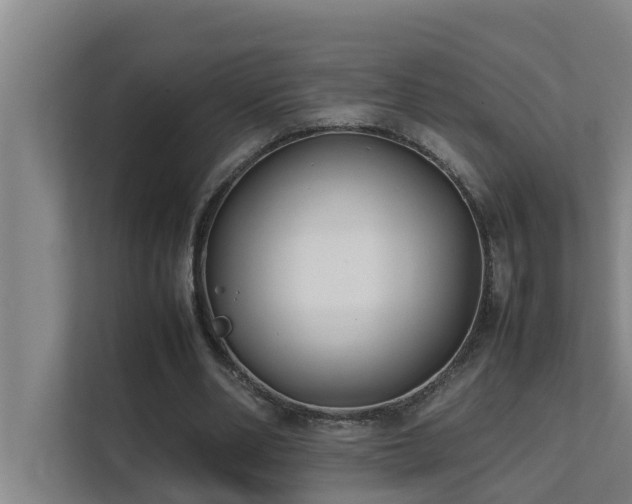 X0000112070486200908041237