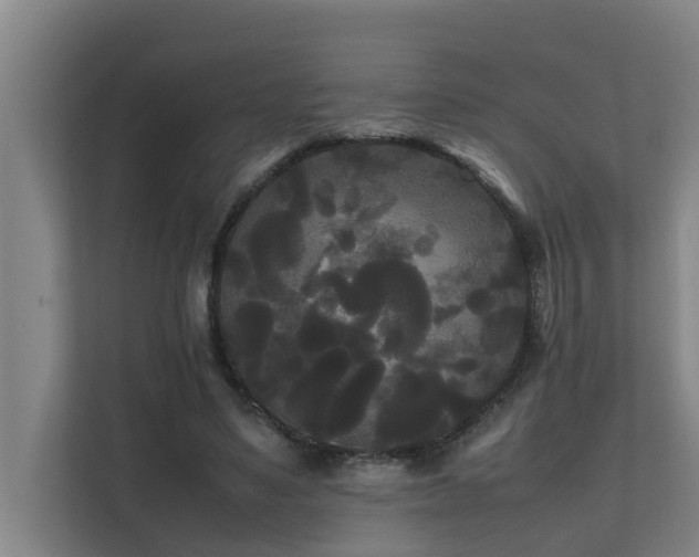 X0000112070491200908041237