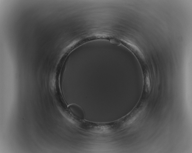 X0000112070492200908041237