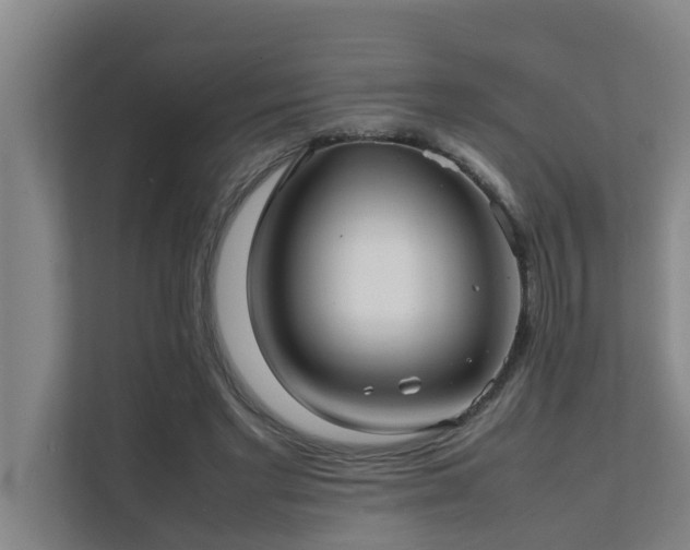 X0000112070493200908041237