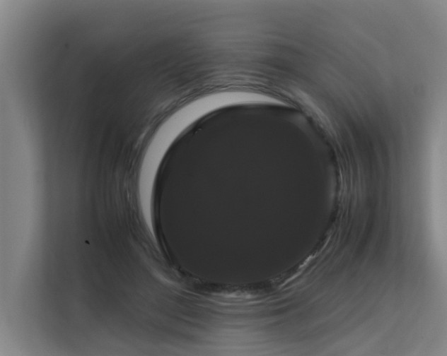 X0000112070500200908041237