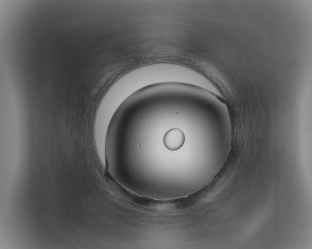 X0000112070501200908041237